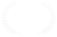 BEST VFX - Oniros Film Awards - Heart animation - Joel Stutz